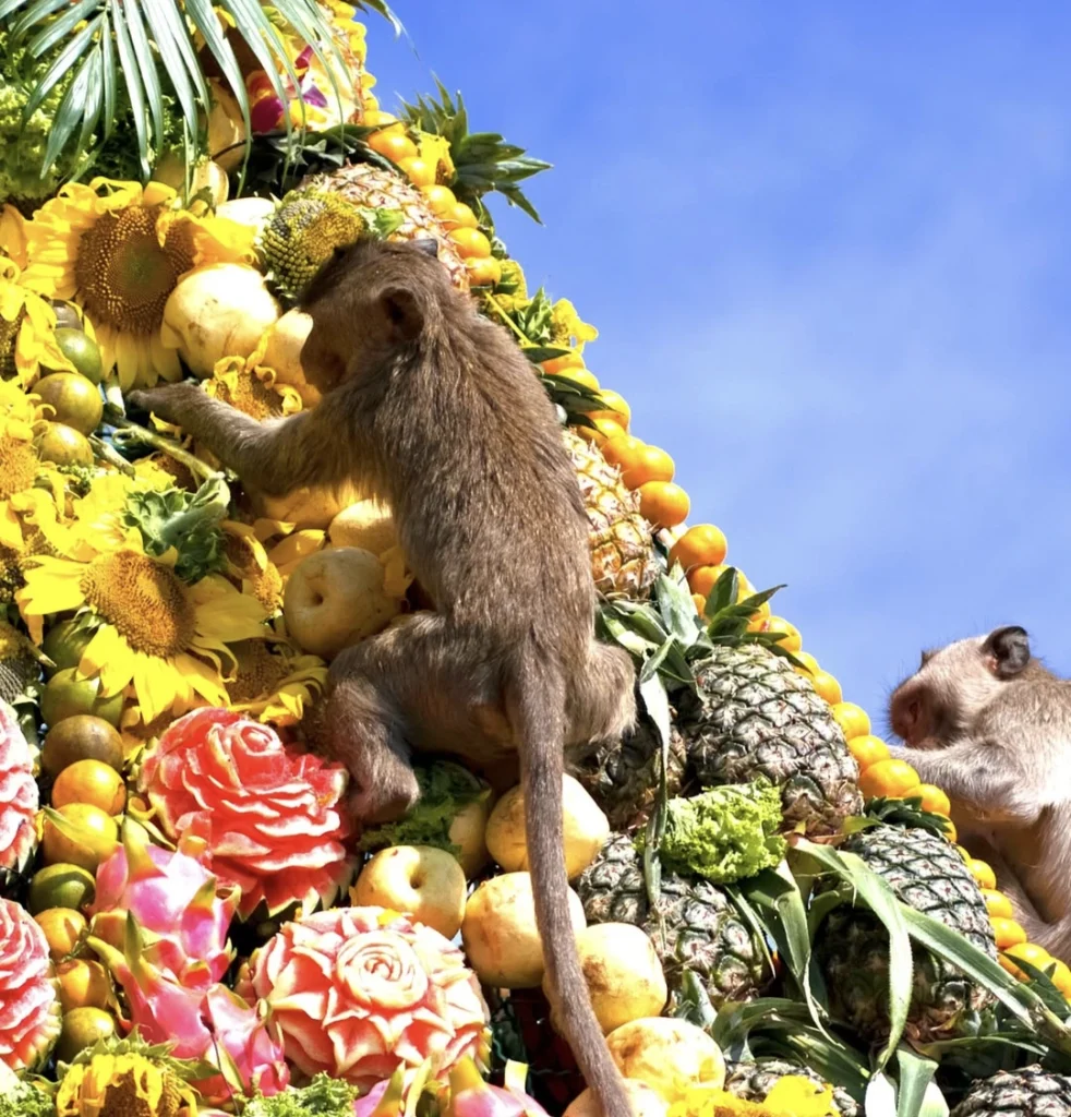 montagne de fruits avec un singe qui mange lors du monkey buffet festival