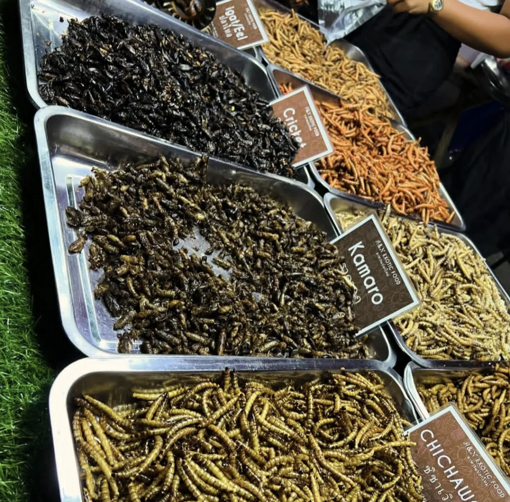 insectes comestibles sur un marché en thaïlande
