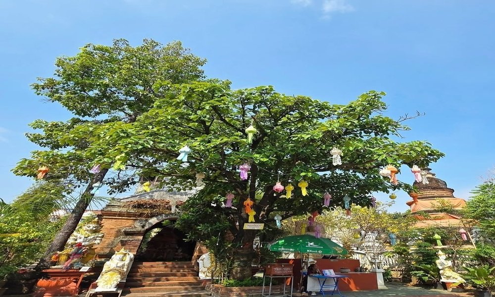 vieille ville chiang mai