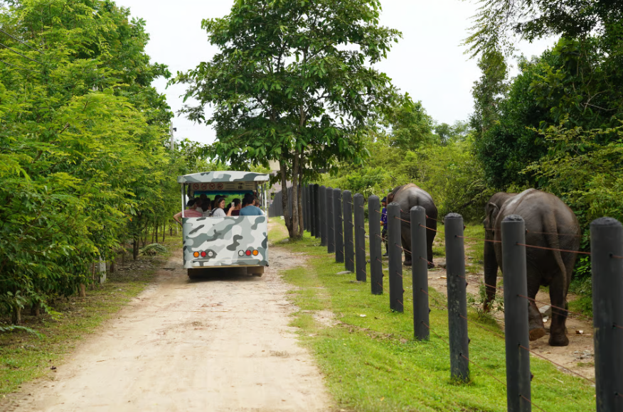 Hua Hin : Visite d'une journée de la Wildlife Friends Foundation Thailand