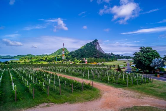 silverlake pattaya